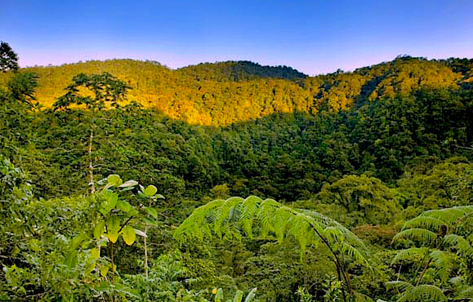 relaxt nachhaltig Costa Rica