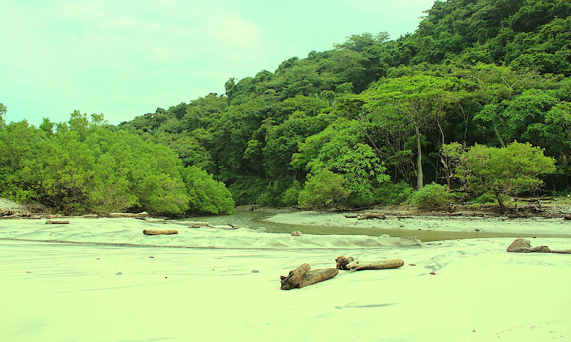 Playa an der Pazifiküste Costa Rica