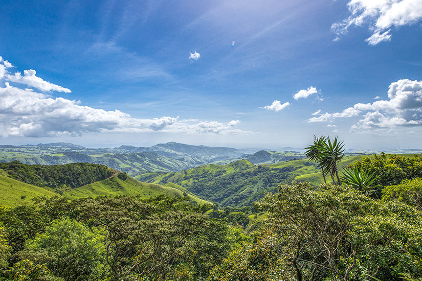 rainforests of latin america