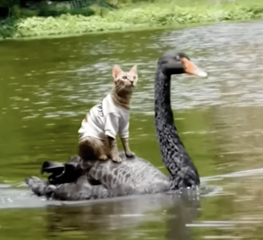 Mein Costa Rica Praktikum